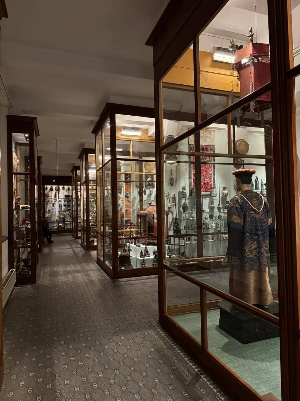 Intricate Insect Displays