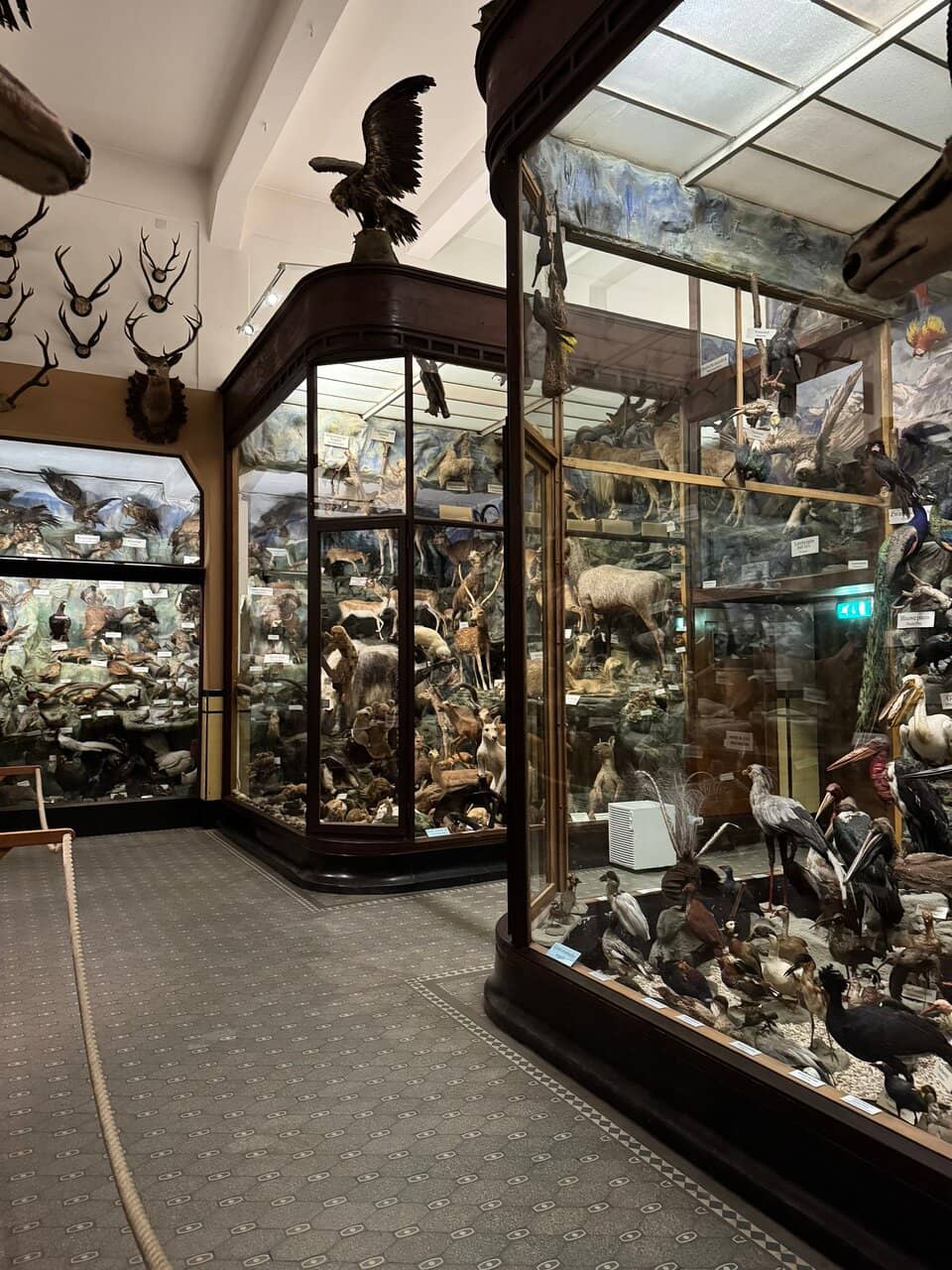 Global Cultural Artifacts