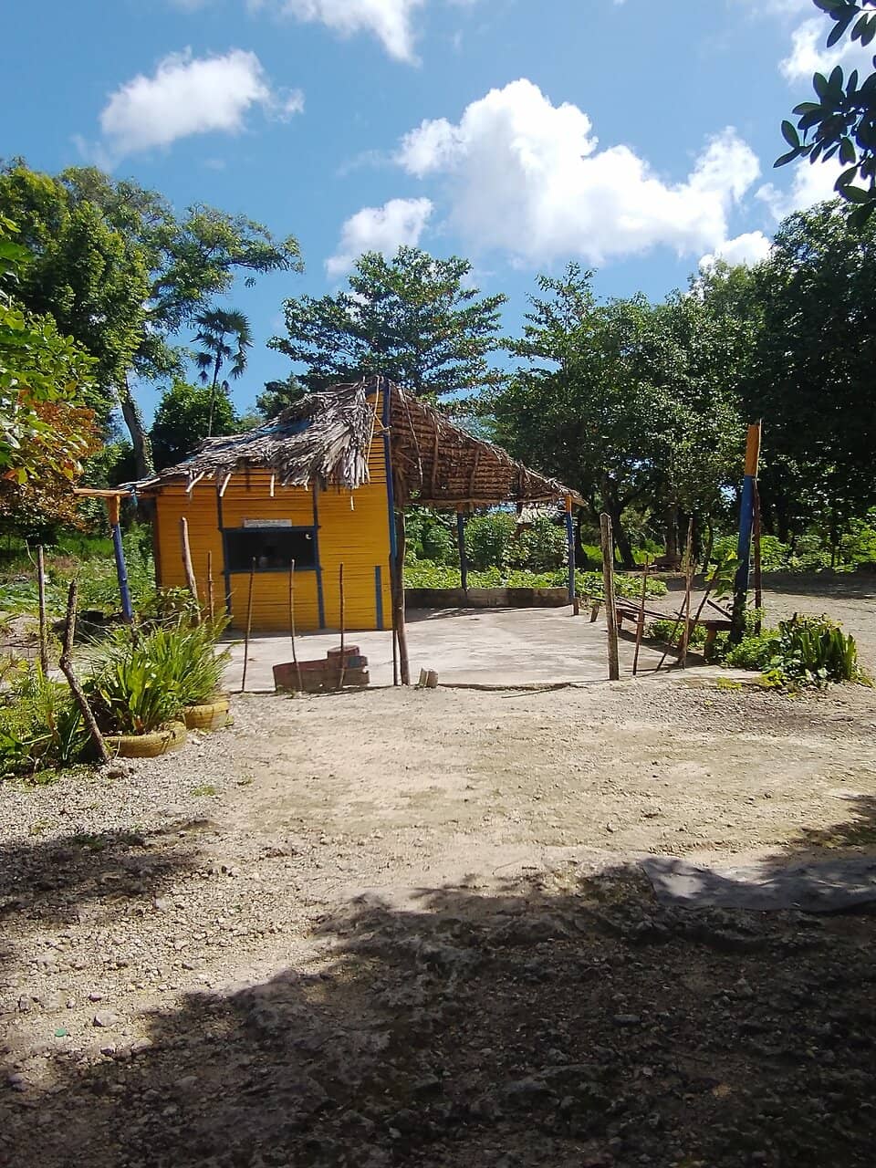 The Turquoise Waters