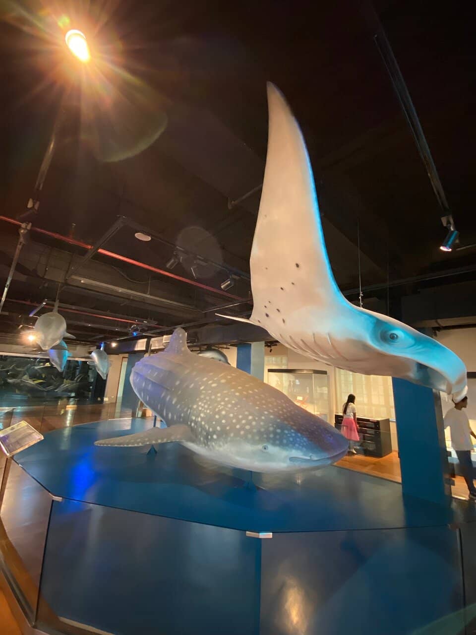 Philippine Biodiversity