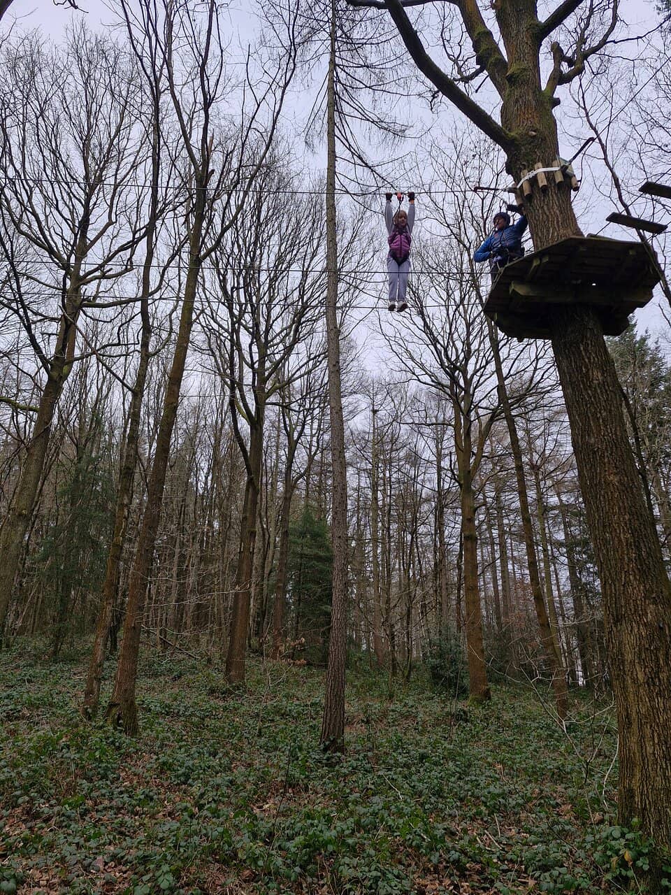 Treetop Challenge