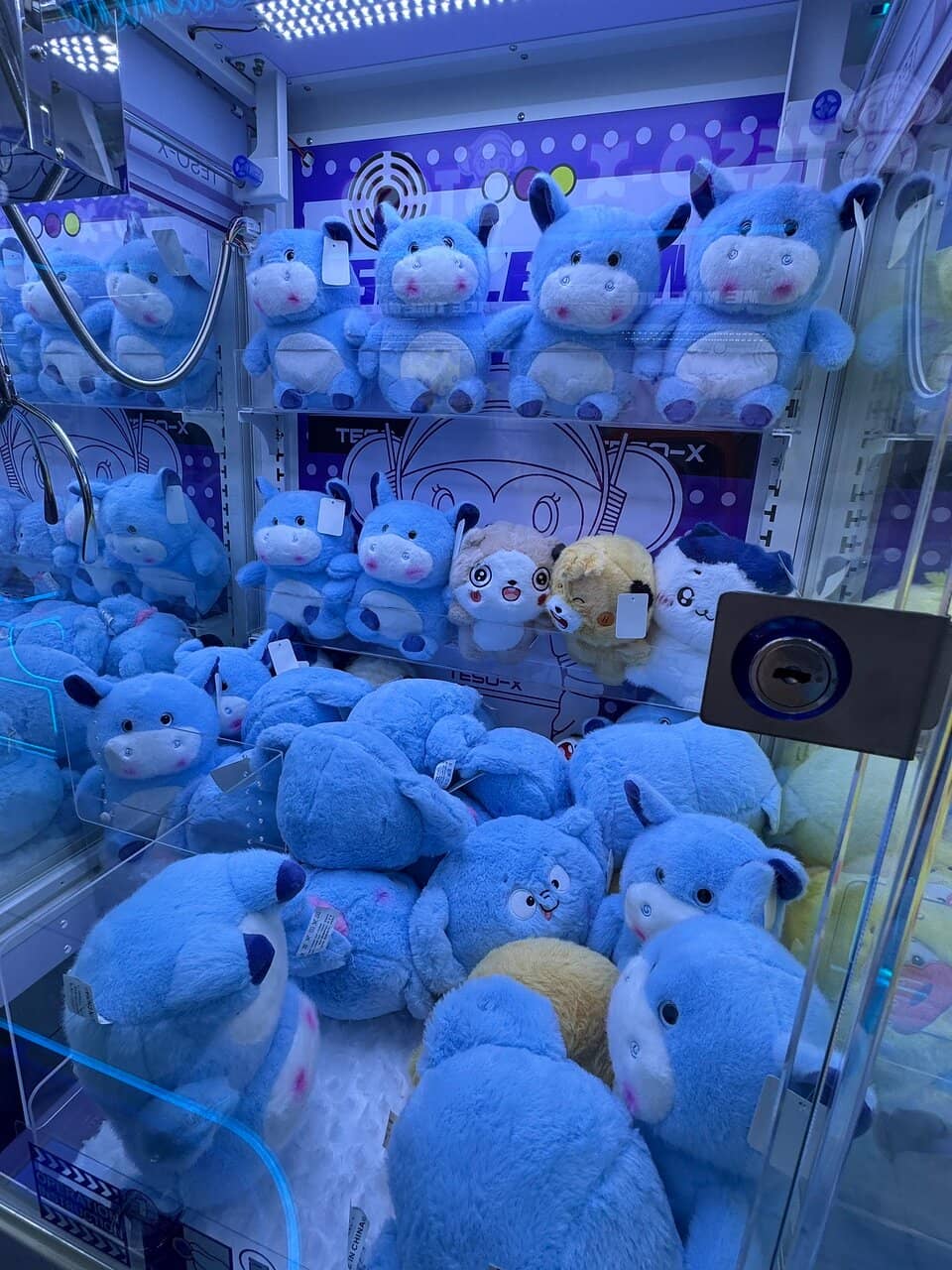 Popular Blind Boxes & Collectibles