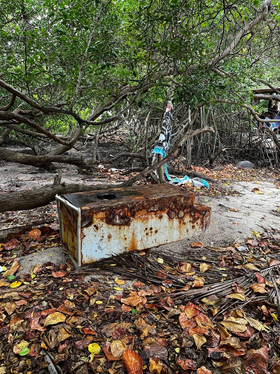 Atlantic Ocean Views