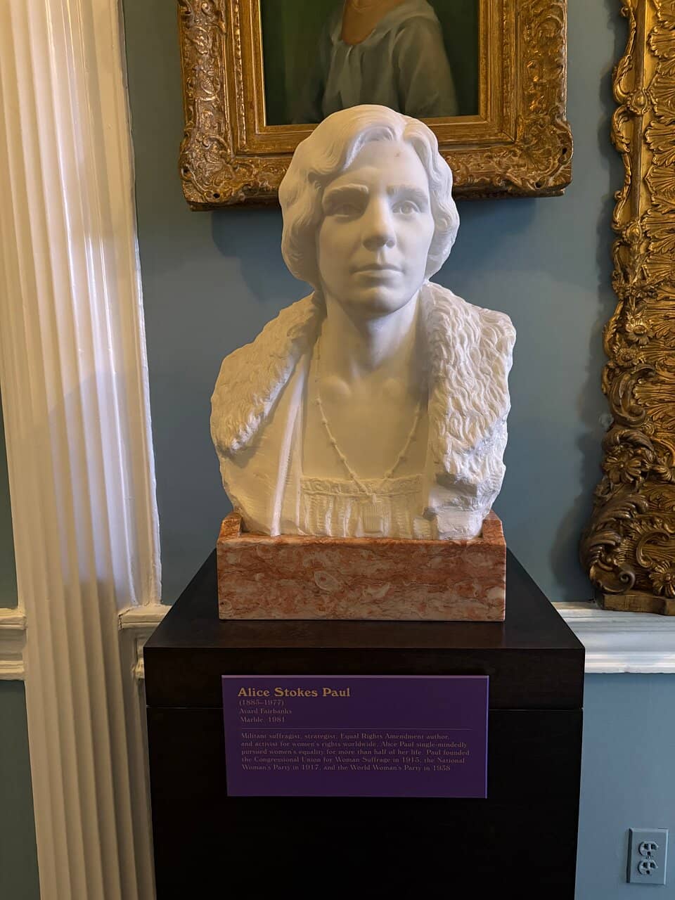 Suffrage Banners & Buttons