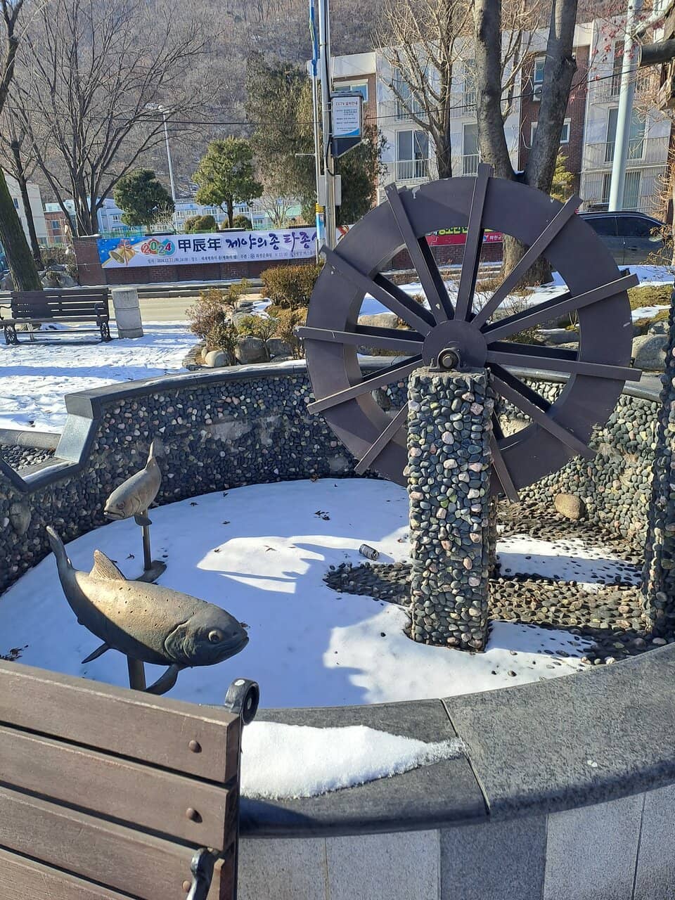 Barehanded Fish Catching