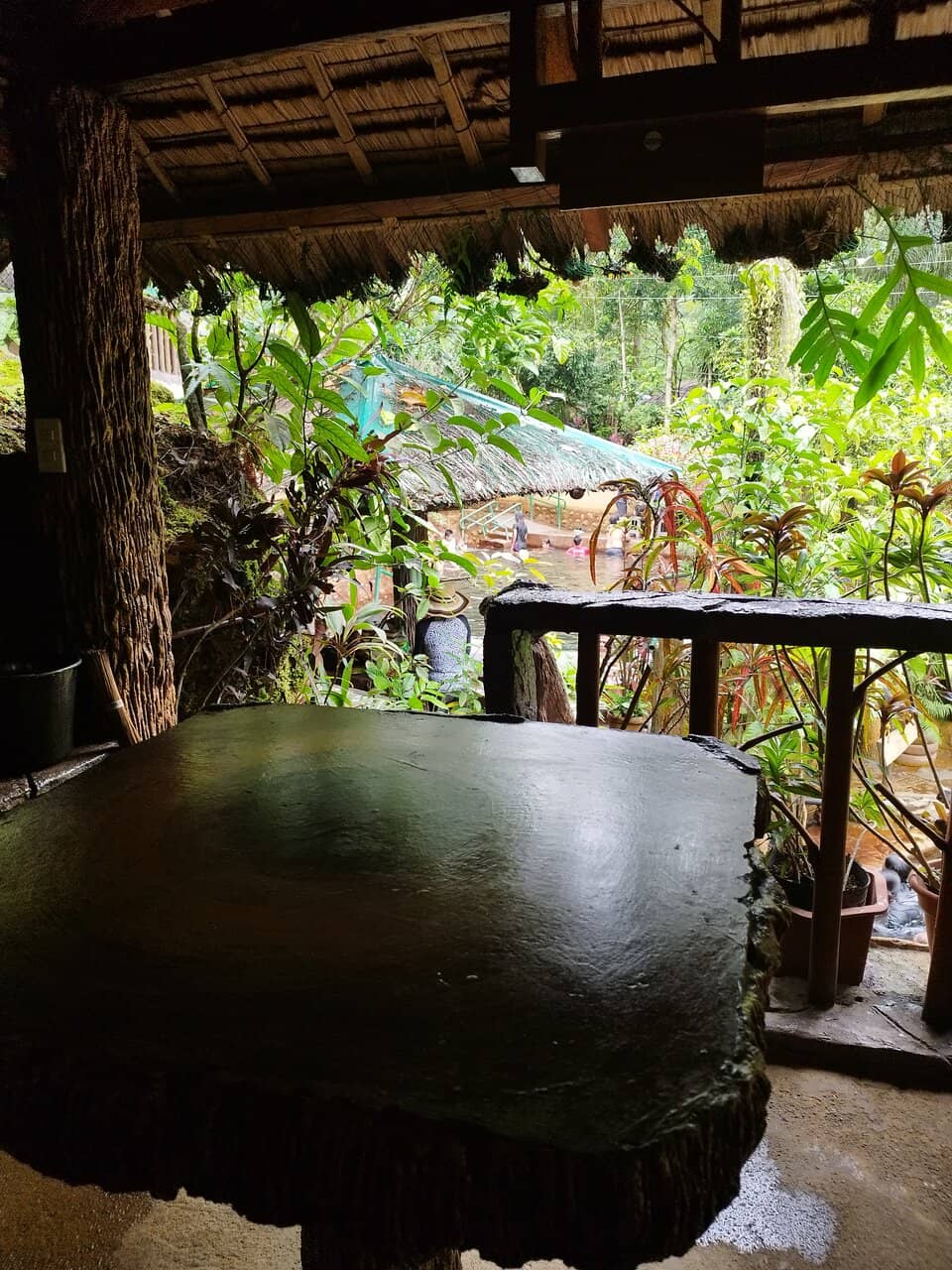 Lush Green Environment