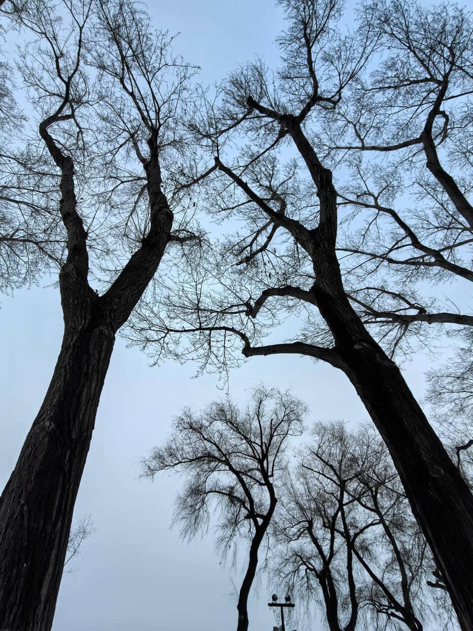 Winter Swimming Spectacle