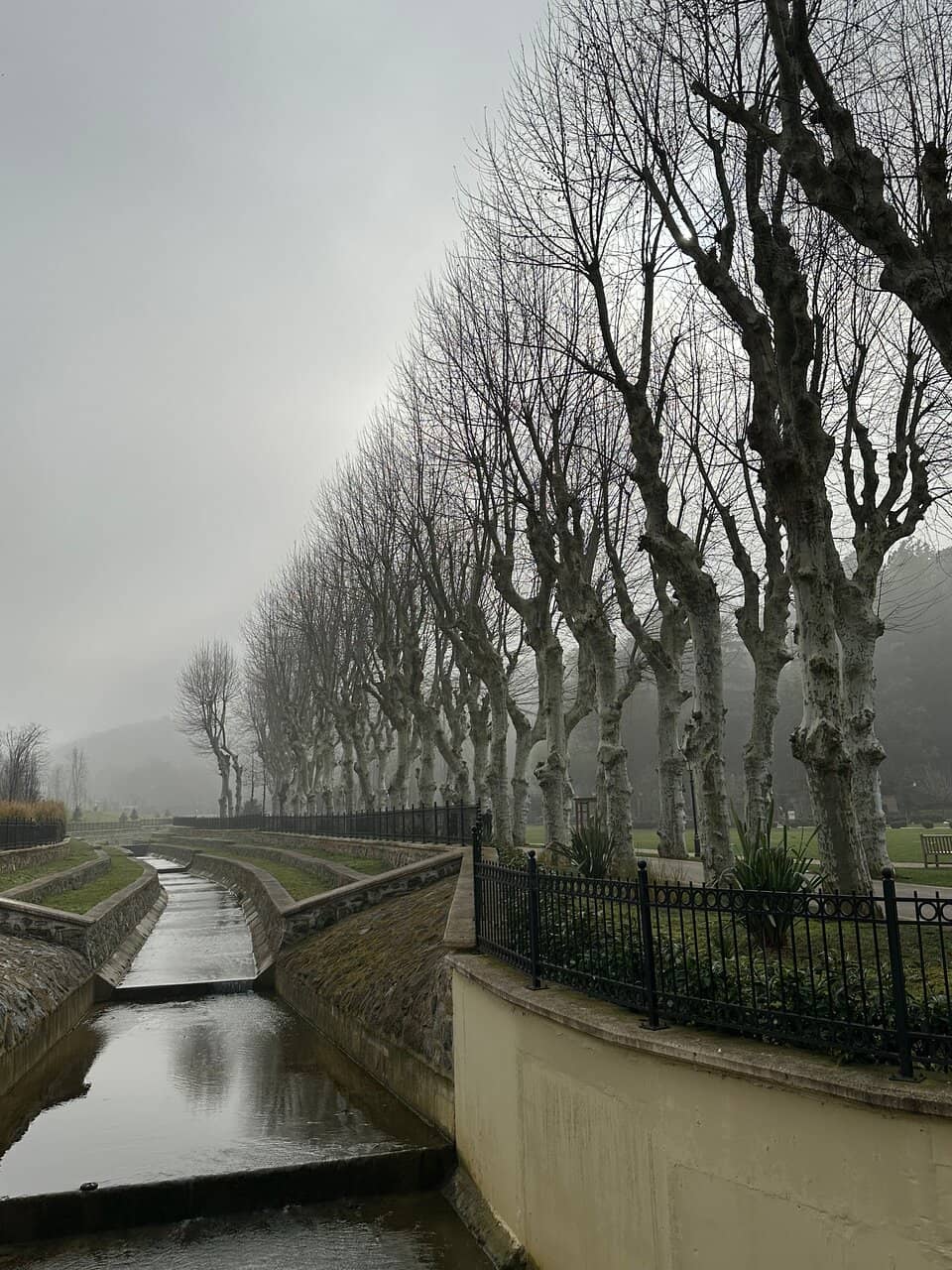 The Garden and Rabbits