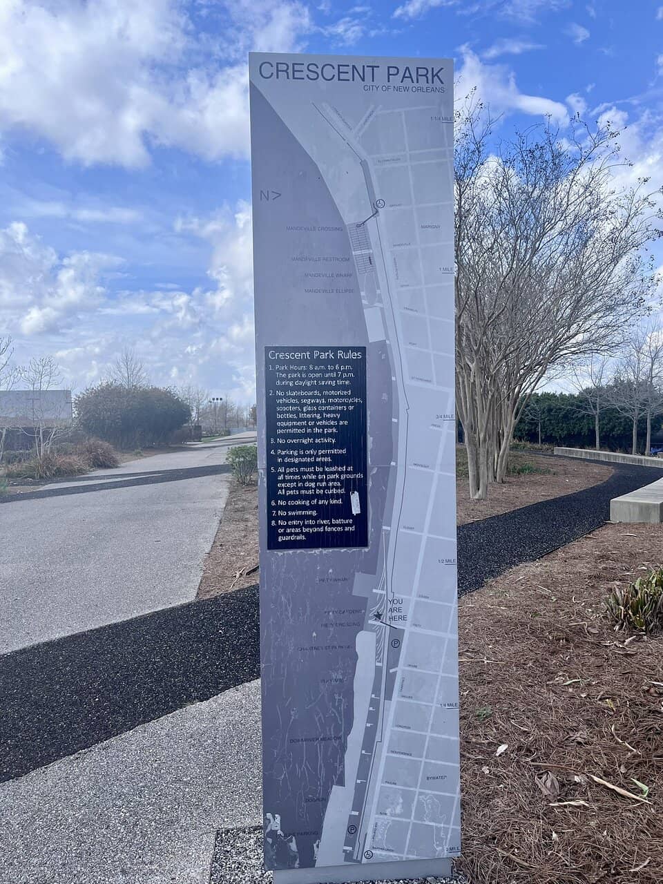 Lusail's Playful Oasis