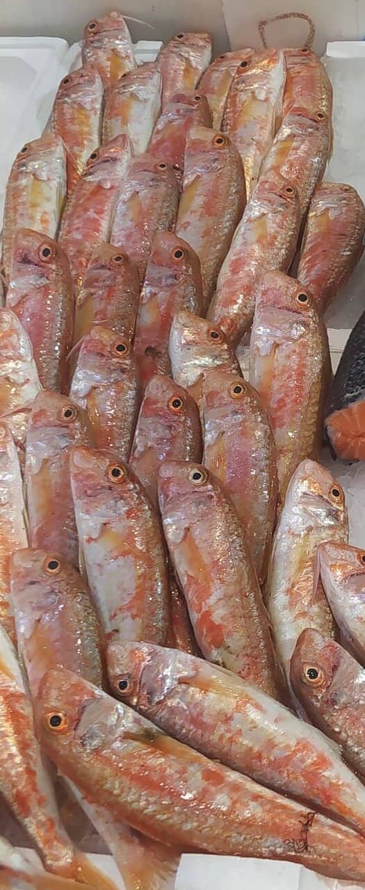 Monte San Calogero Views