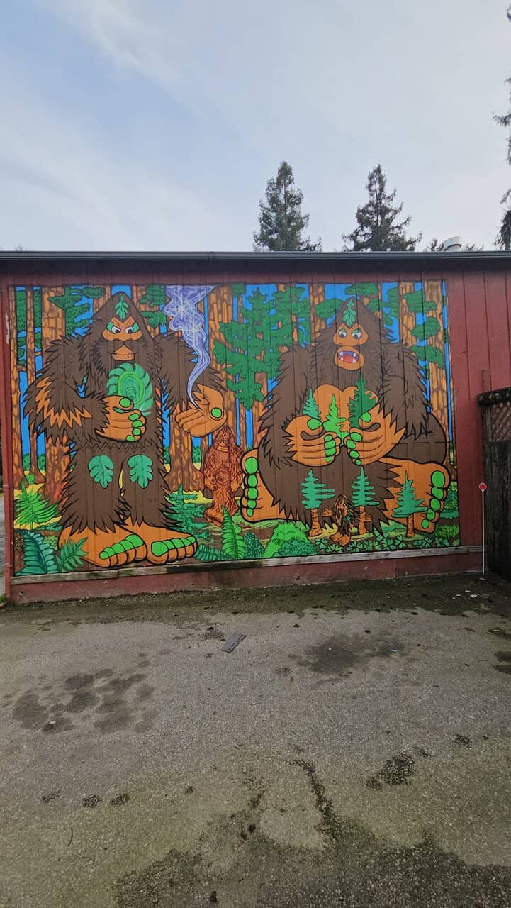 Interactive Displays