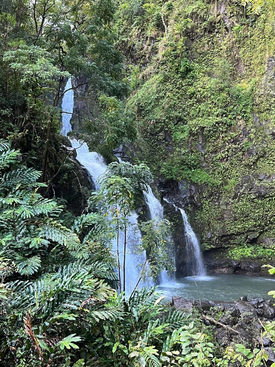 Vertical photo