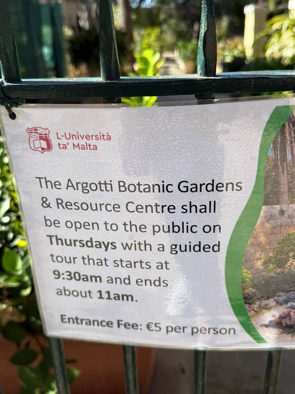 Mediterranean Plant Collection