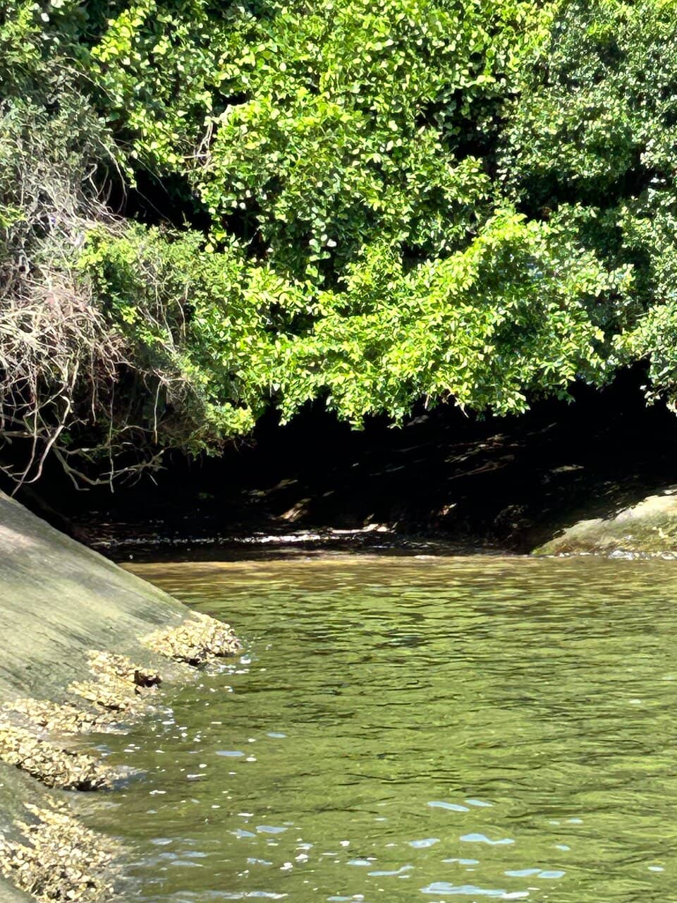 18th-Century Cannons