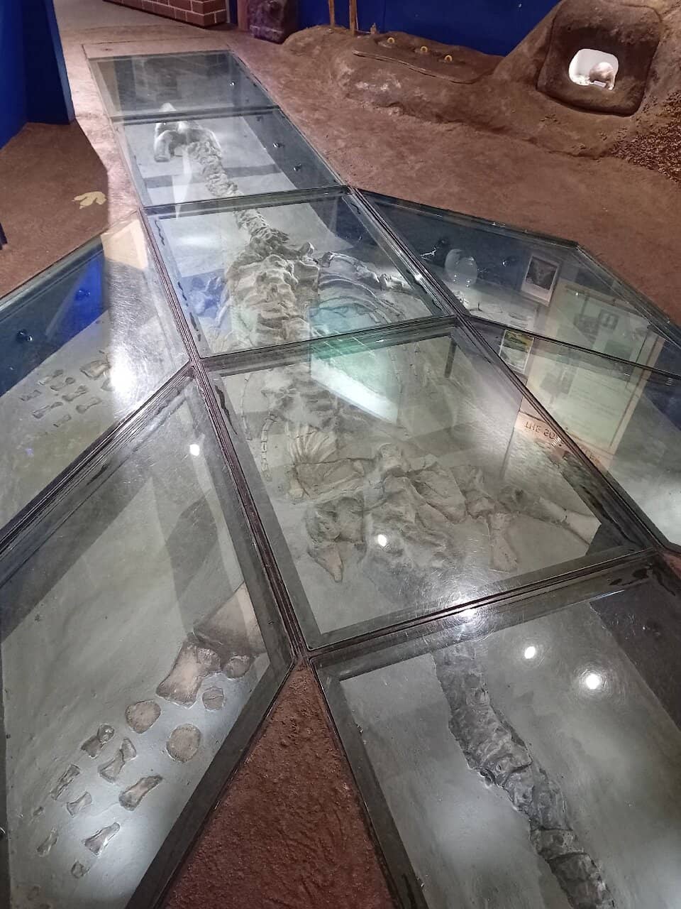 Victorian Swimming Baths Setting