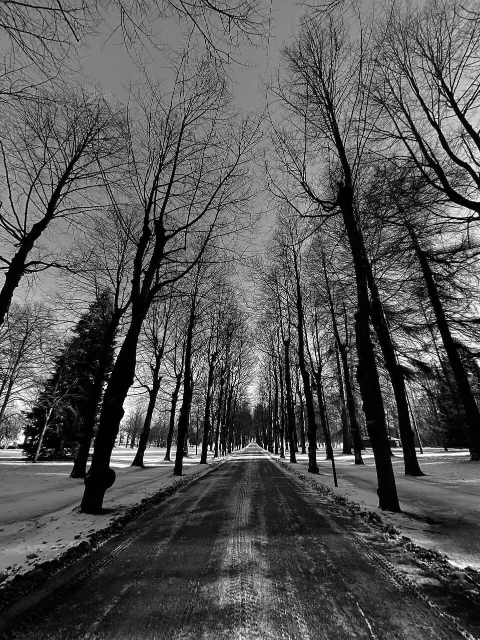 Sports and Playgrounds