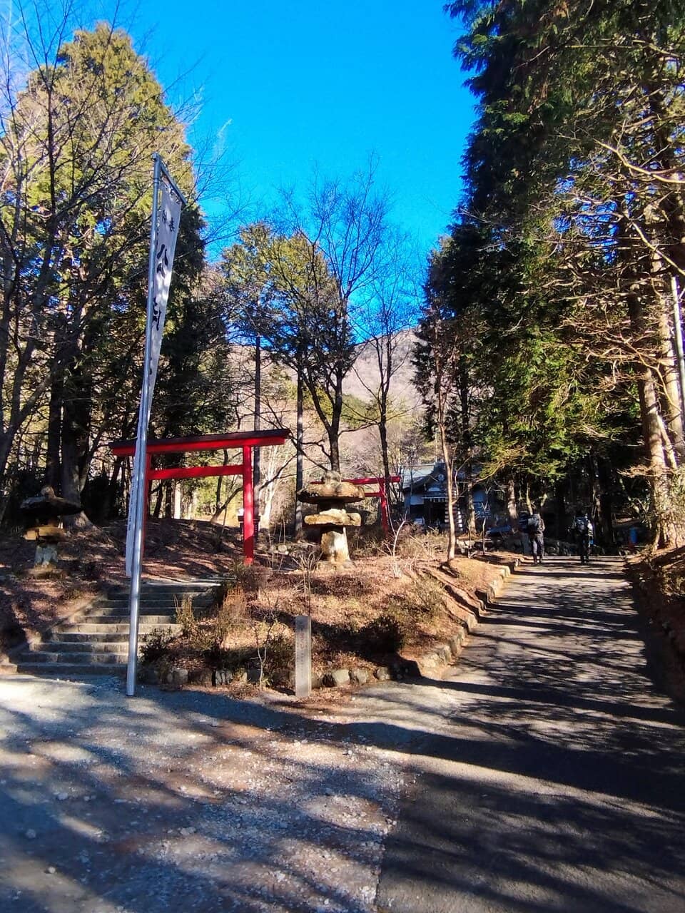 Iconic Torii Gate