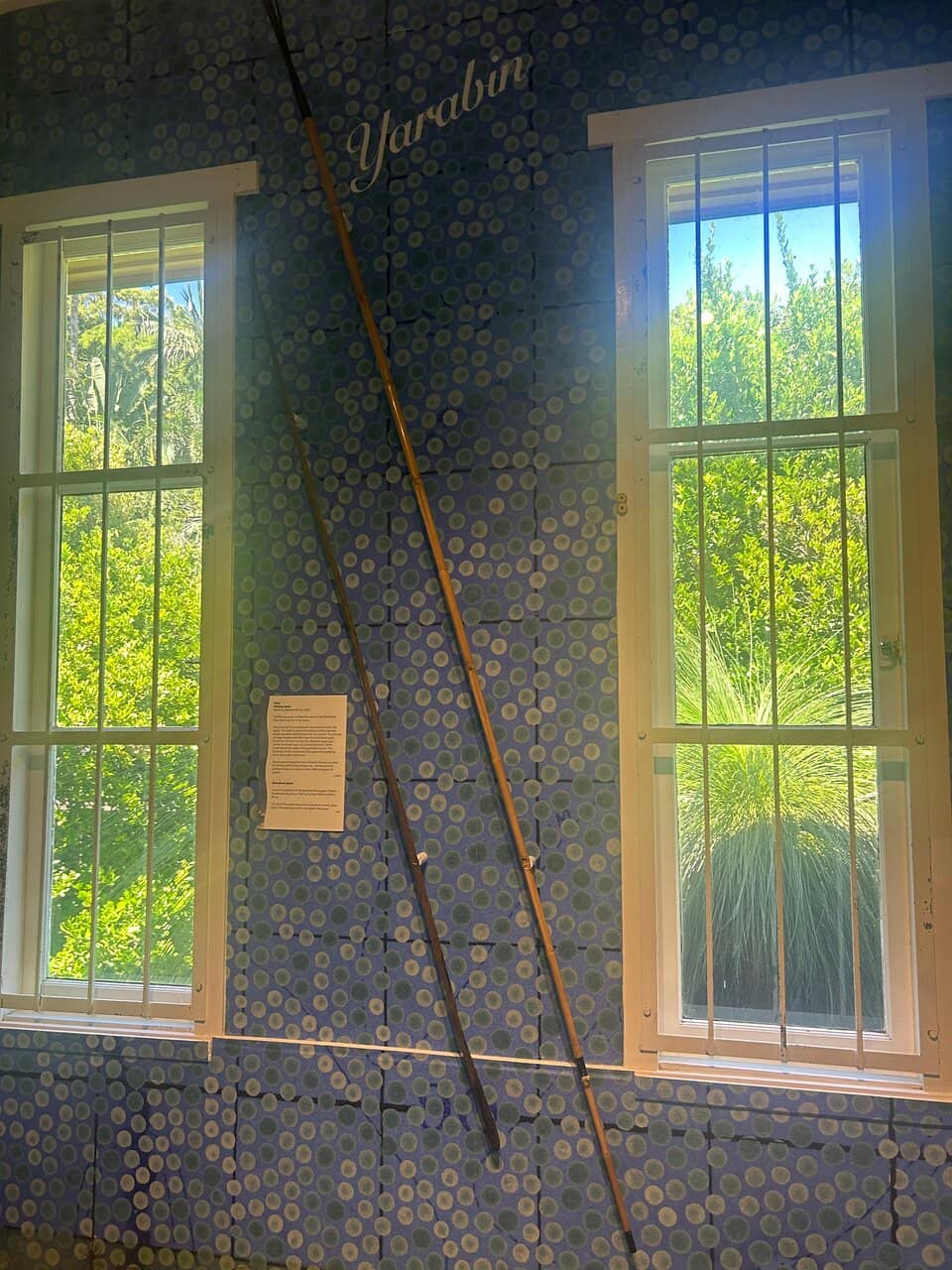 Laddie Trail Adventure