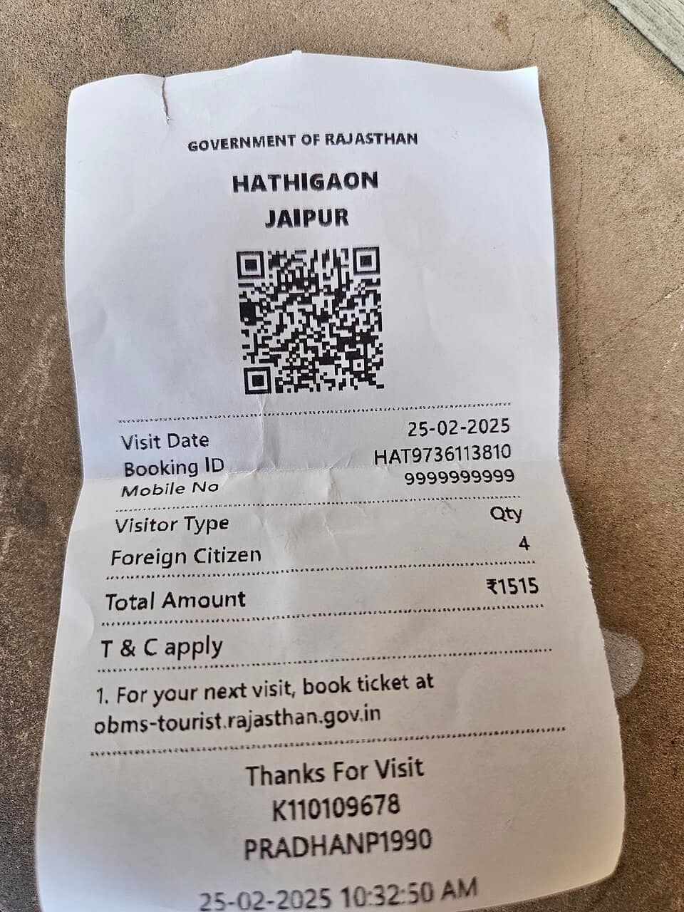 Village Life and Mahout Interaction