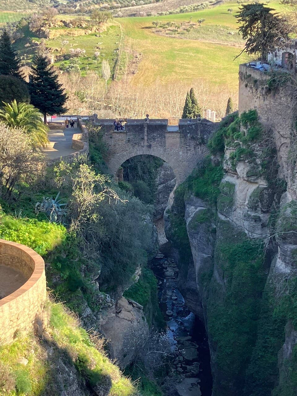 Tranquil Garden Escape