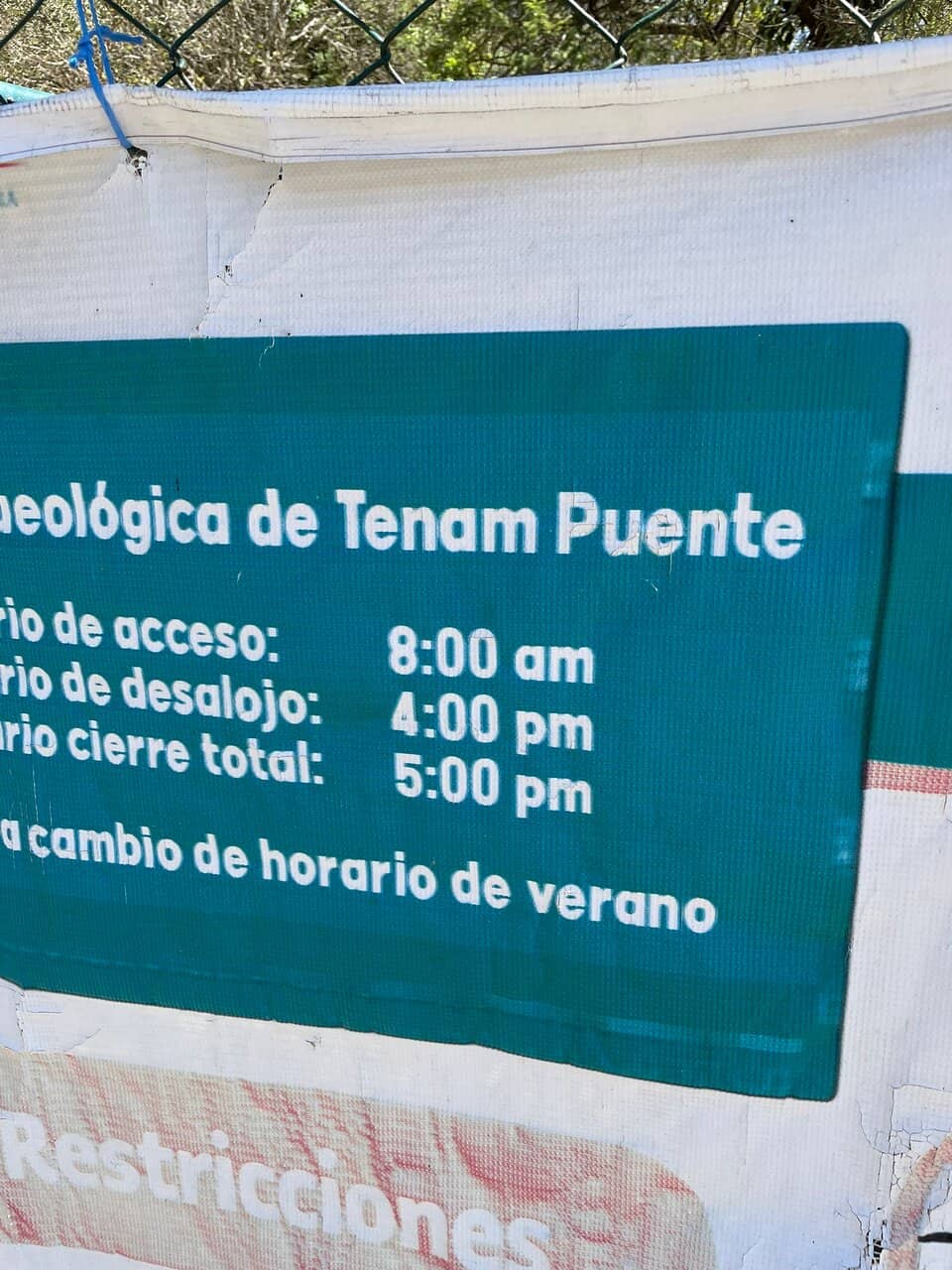 Overgrown Ruins & Nature