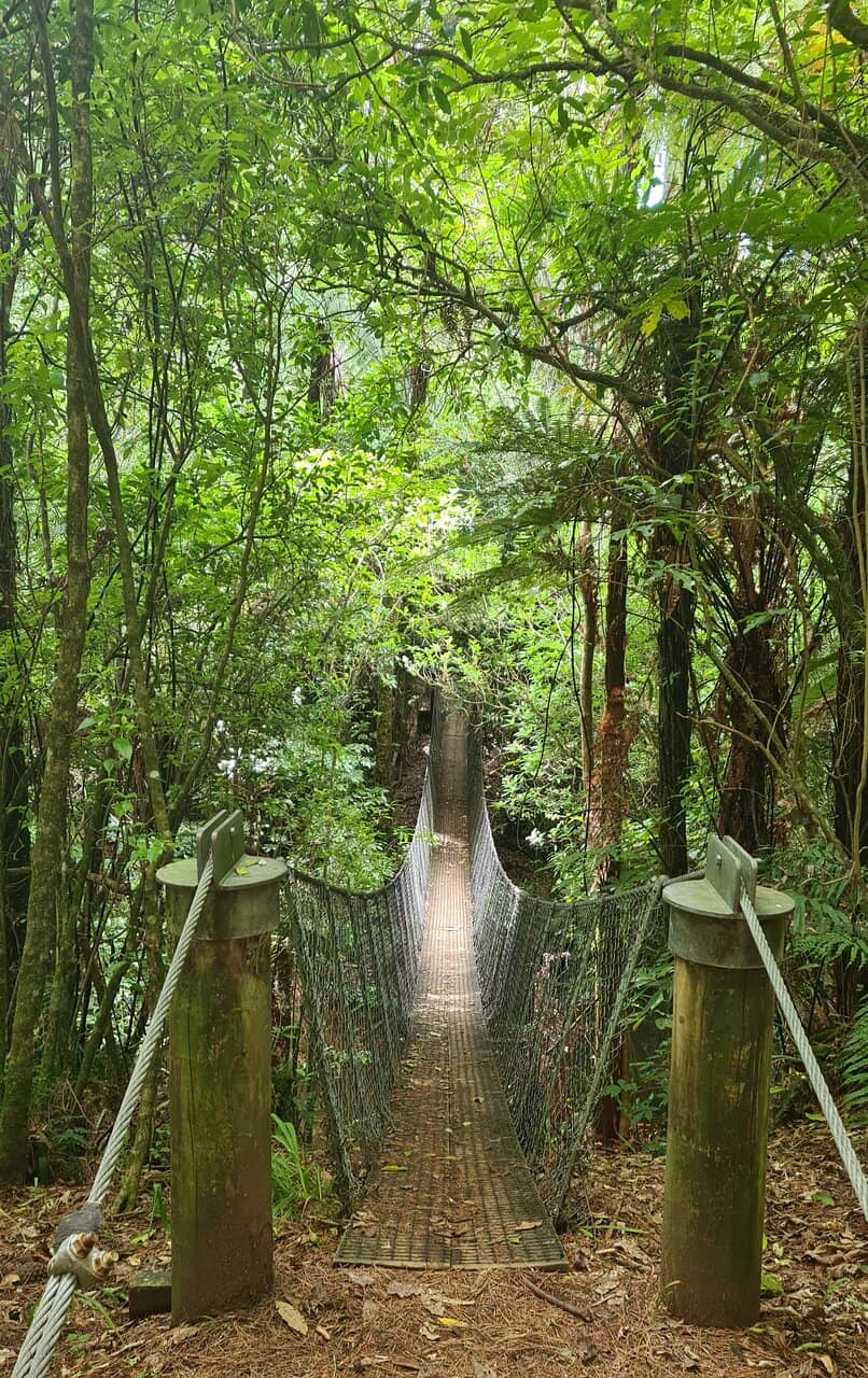 Lakeside Walking Trails