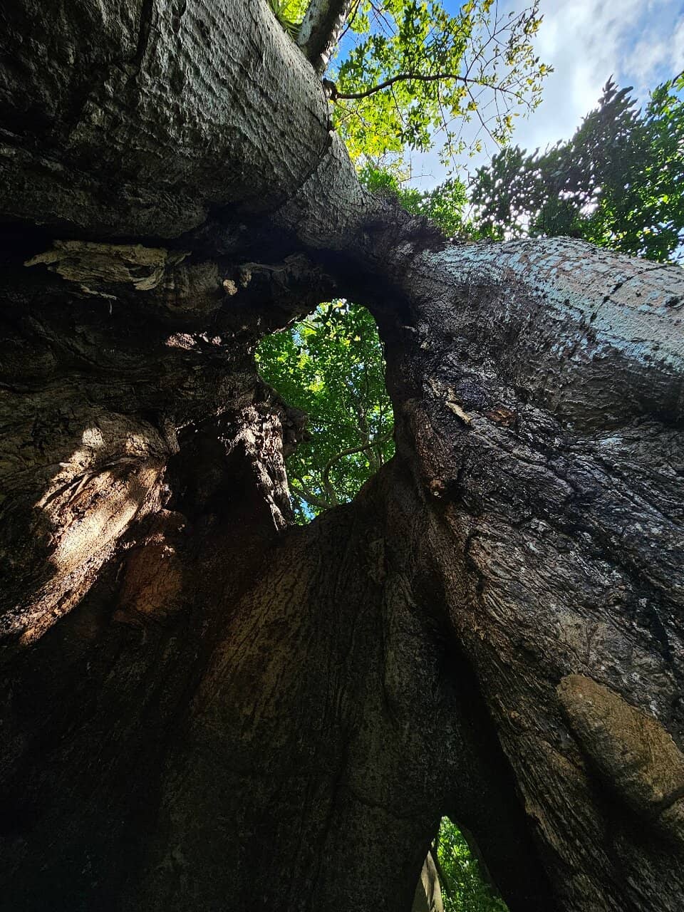 Local Island Flavors