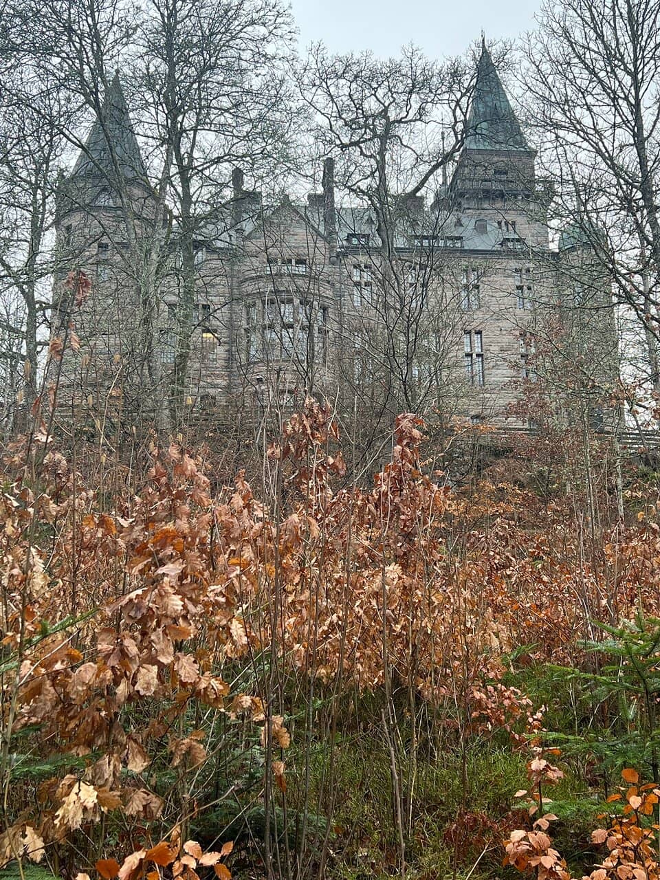 Picturesque Lake Setting