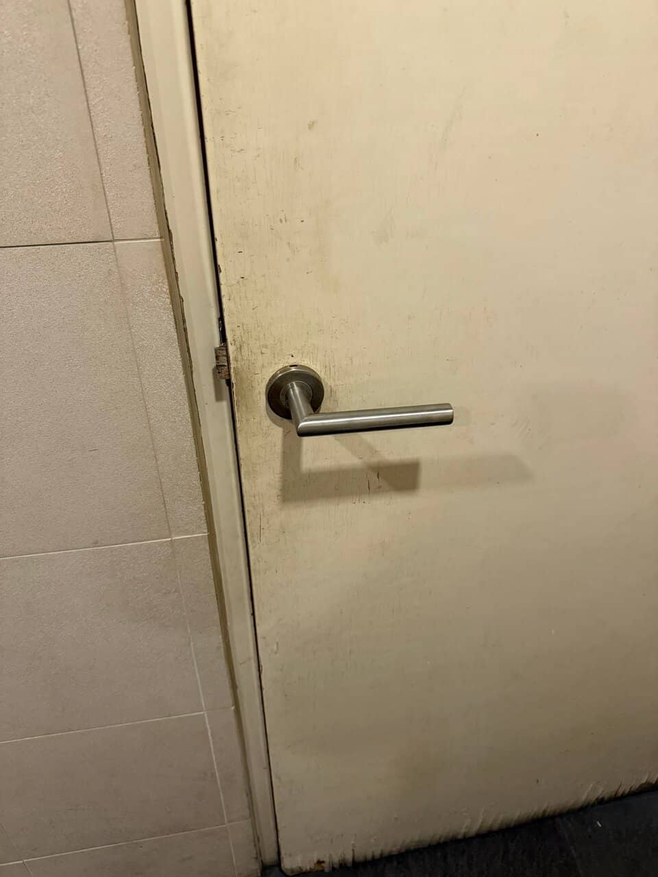 Delectable Desserts and Pizzas