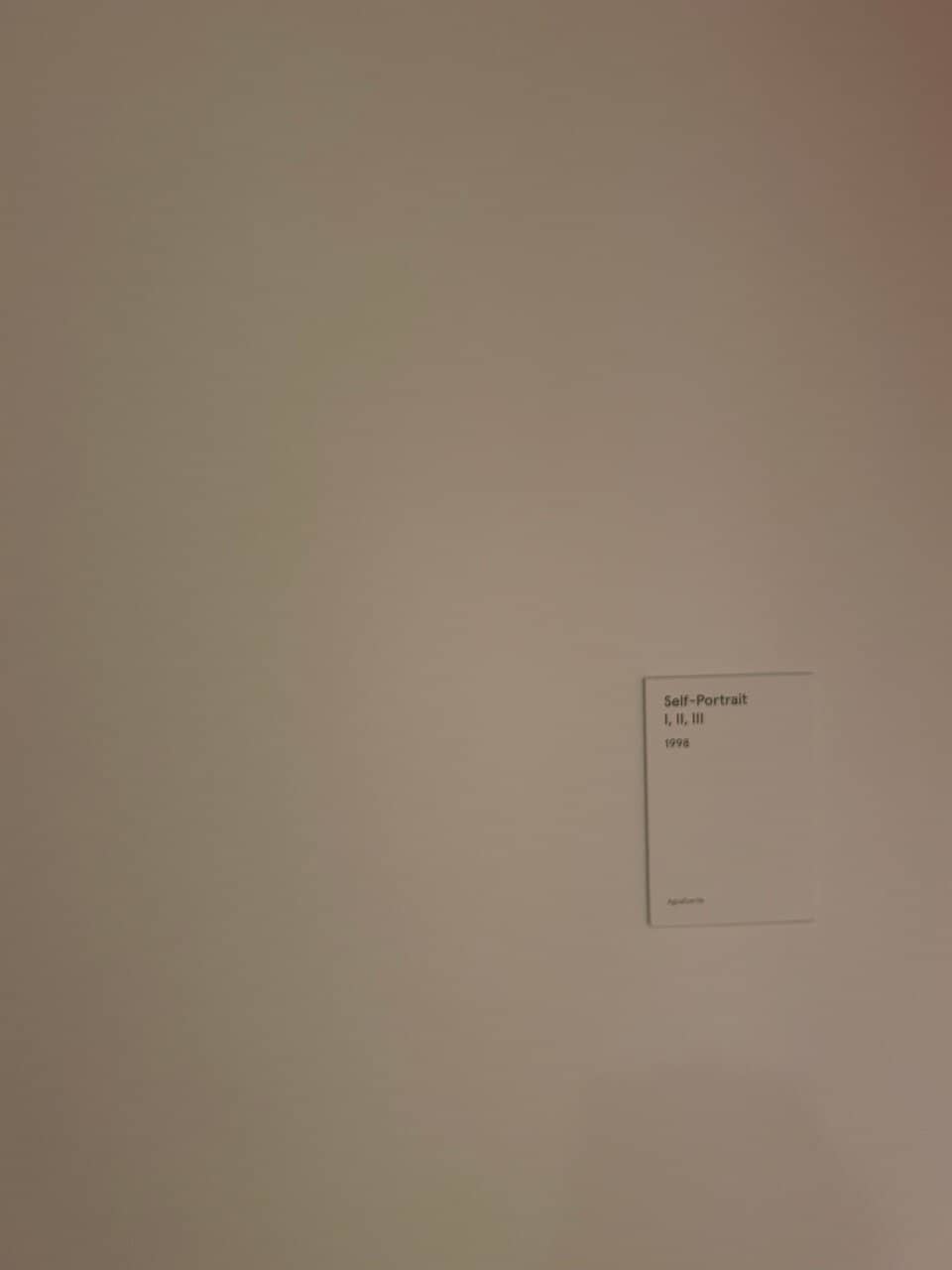 Reading Areas & Shop