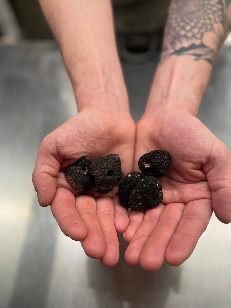 Warm Italian Hospitality