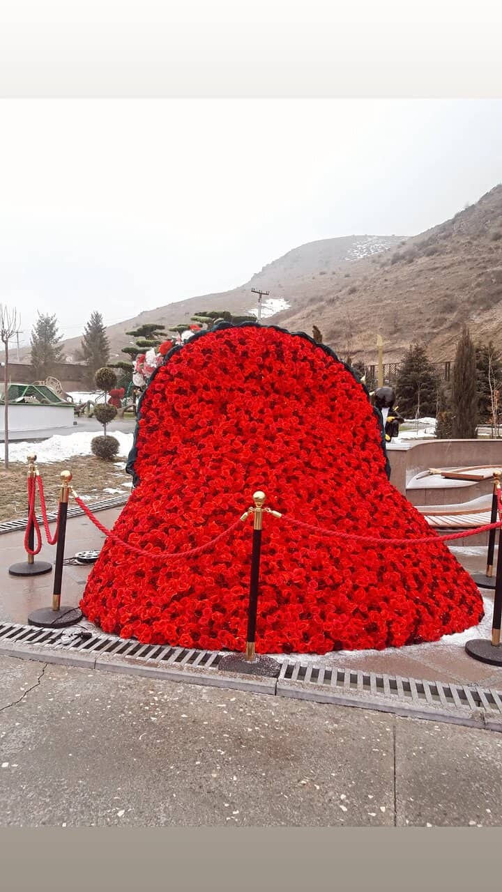 Cable Car and Zip Line