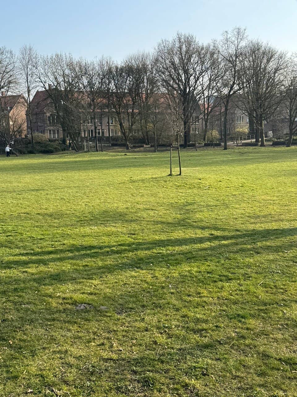 Tranquil Green Spaces