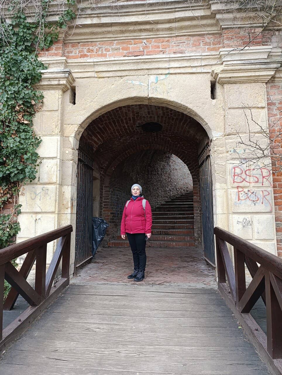 Serbian-Jewish Friendship Symbol
