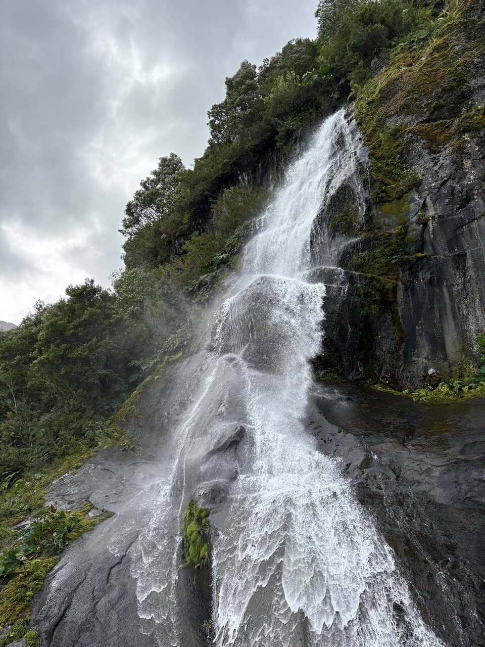 Valdivian Rainforest Trails