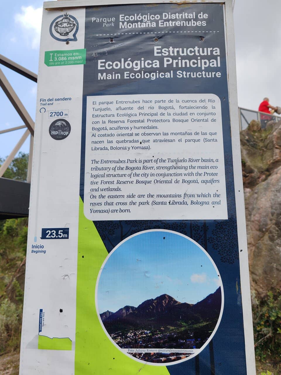 Forested Hiking Trails