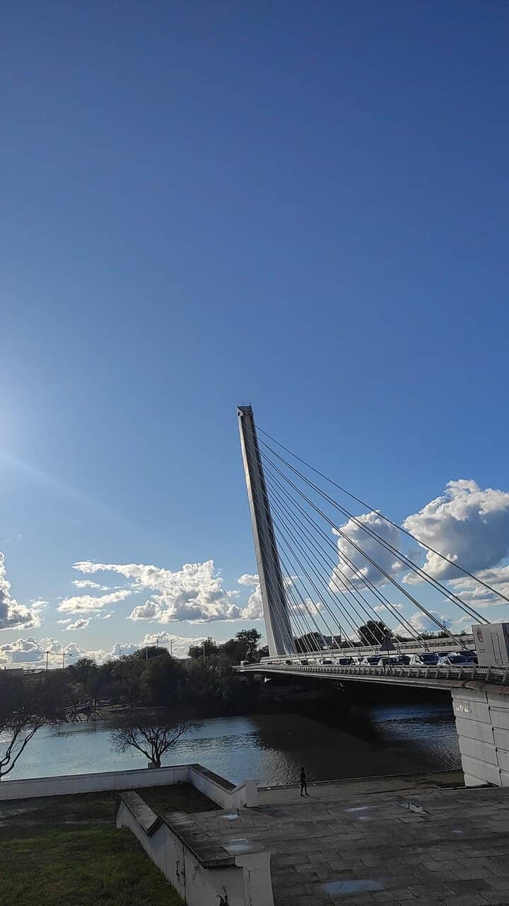 Alamillo Bridge Views