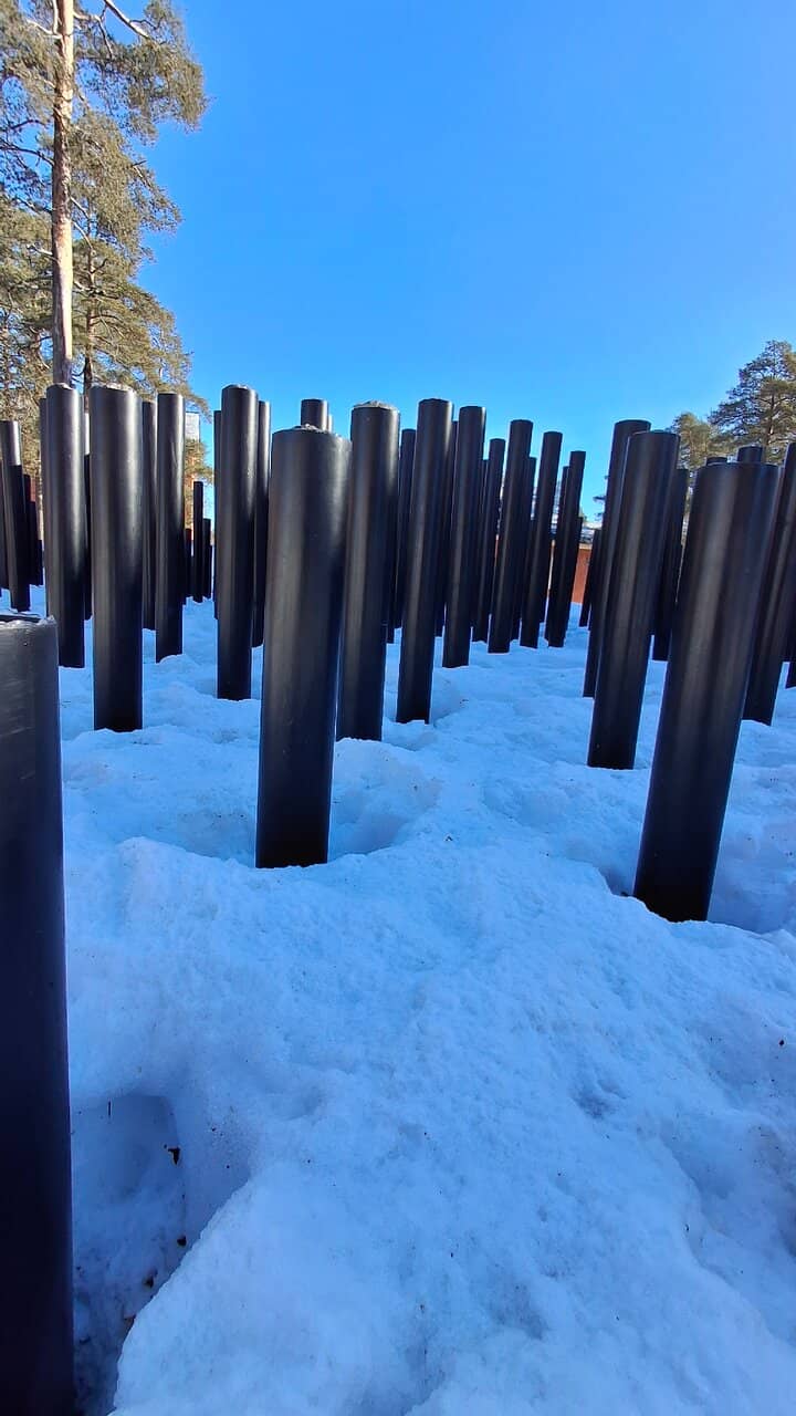 Nature-Integrated Art