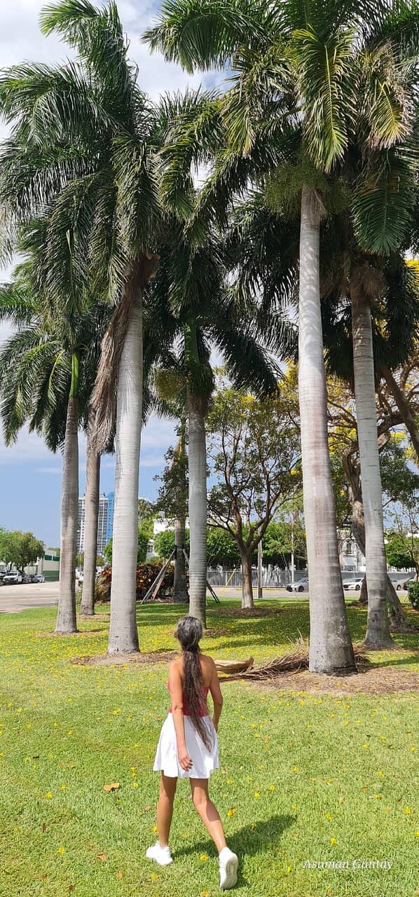 Challenging 18 Holes