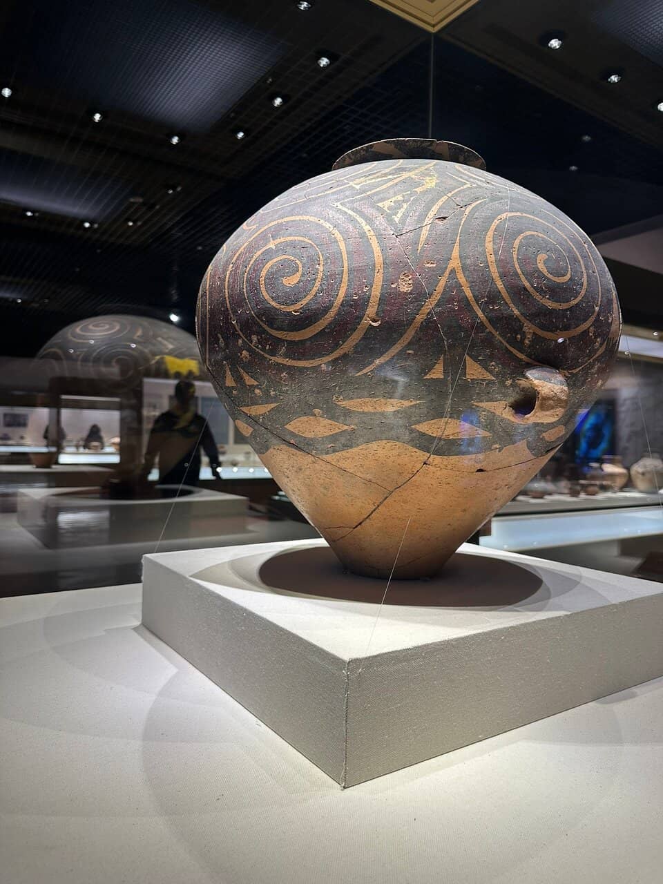 Paleontological Section (Fossils)