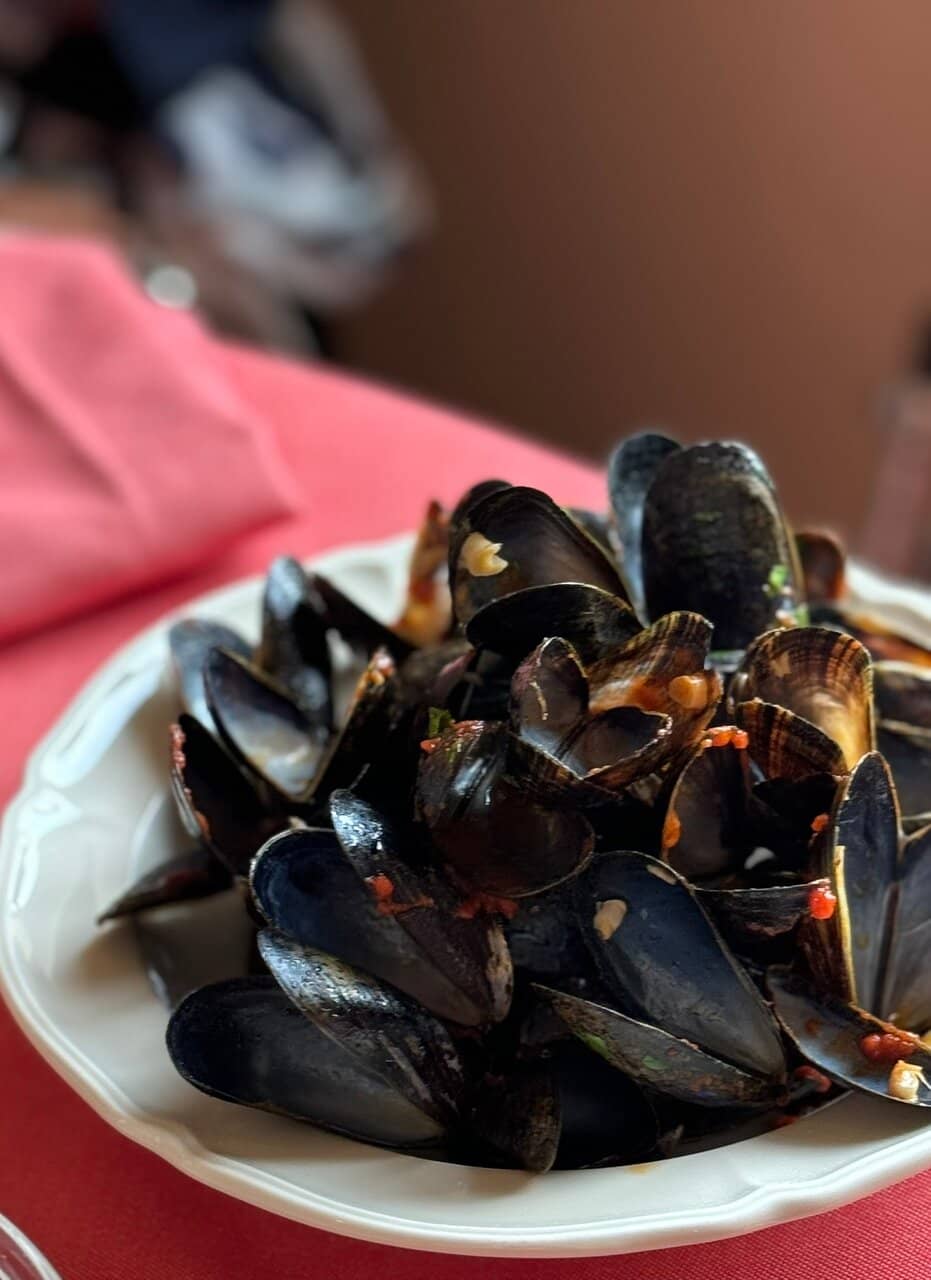 Charming Outdoor Patio
