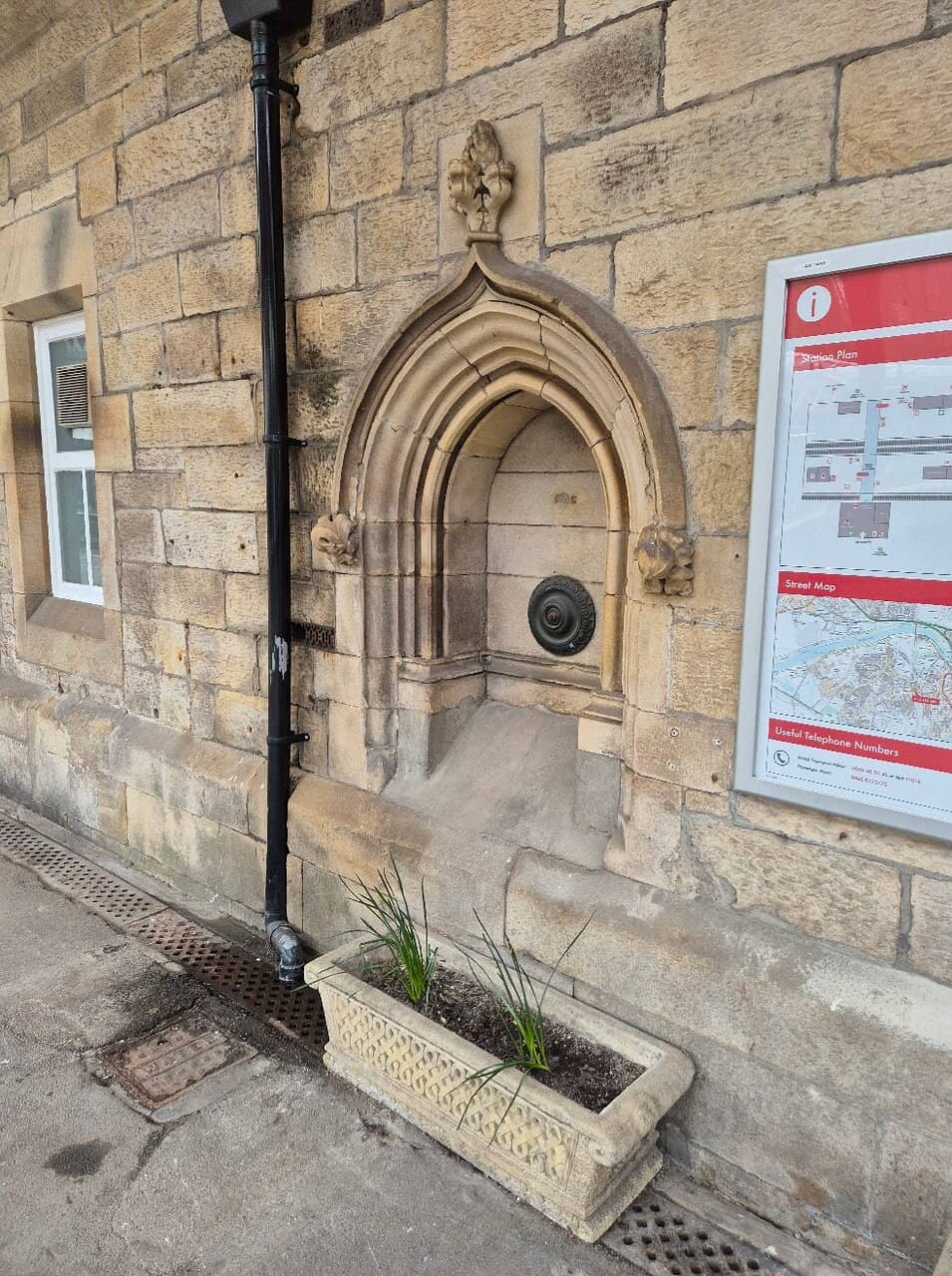 Historic Steam Train Rides