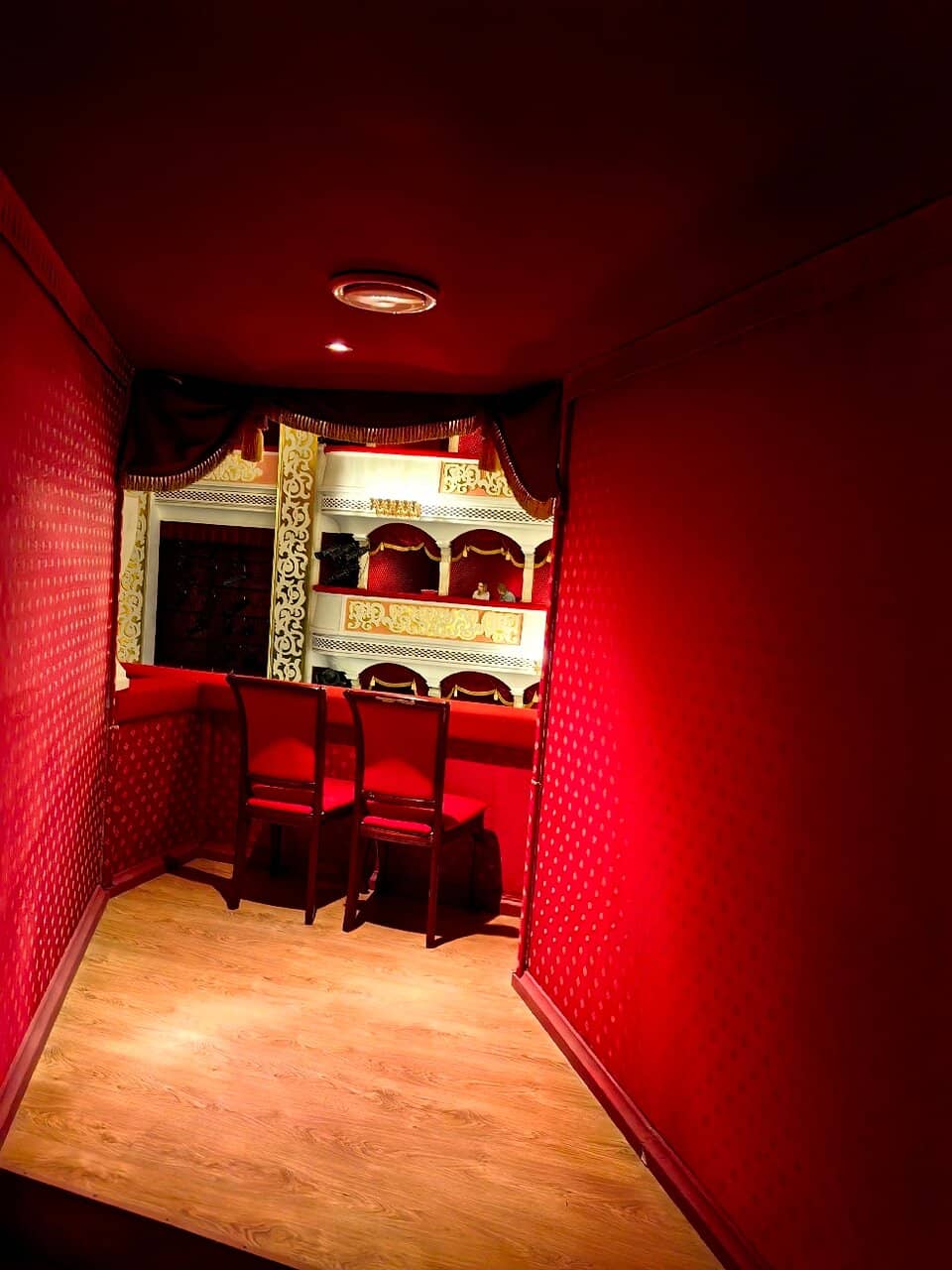 Professional Troupe Performances