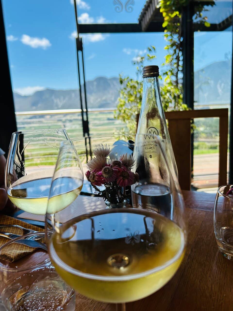 Diverse Wine Selection