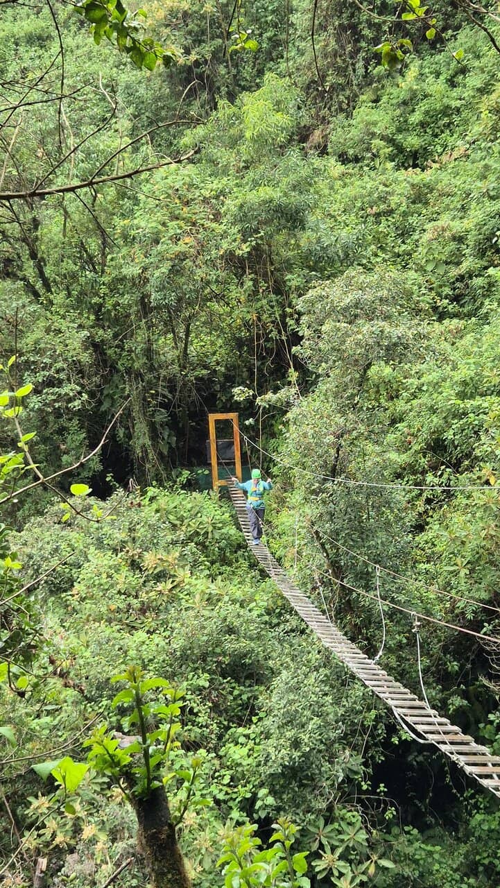 Scenic Hiking Trails