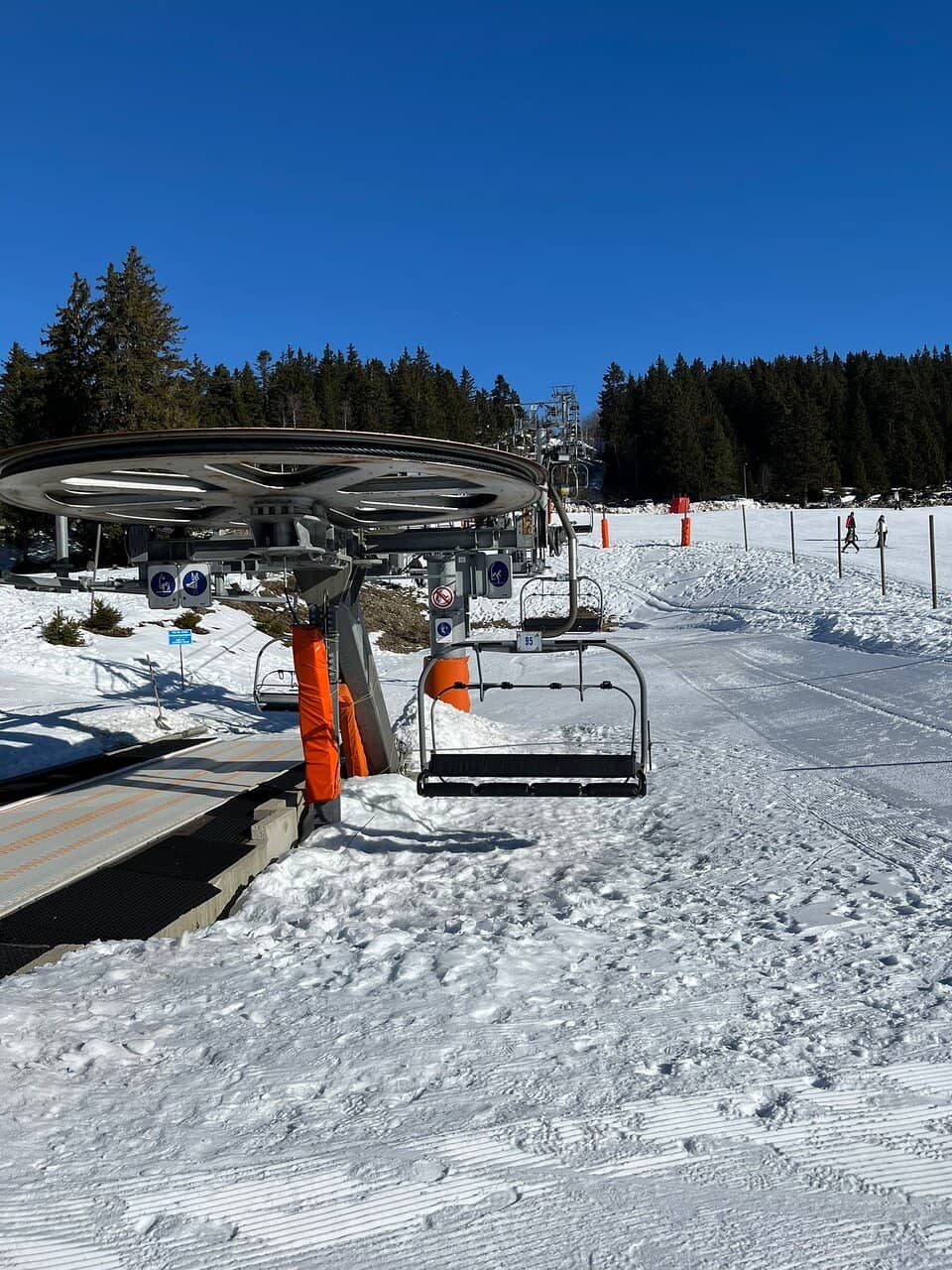 Family-Friendly Atmosphere