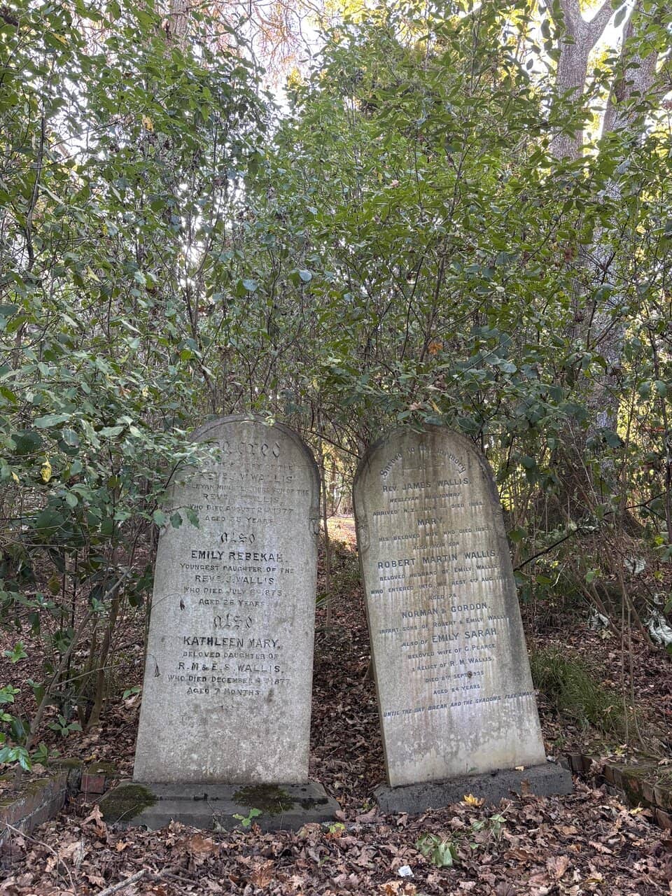 Governor Hobson's Grave