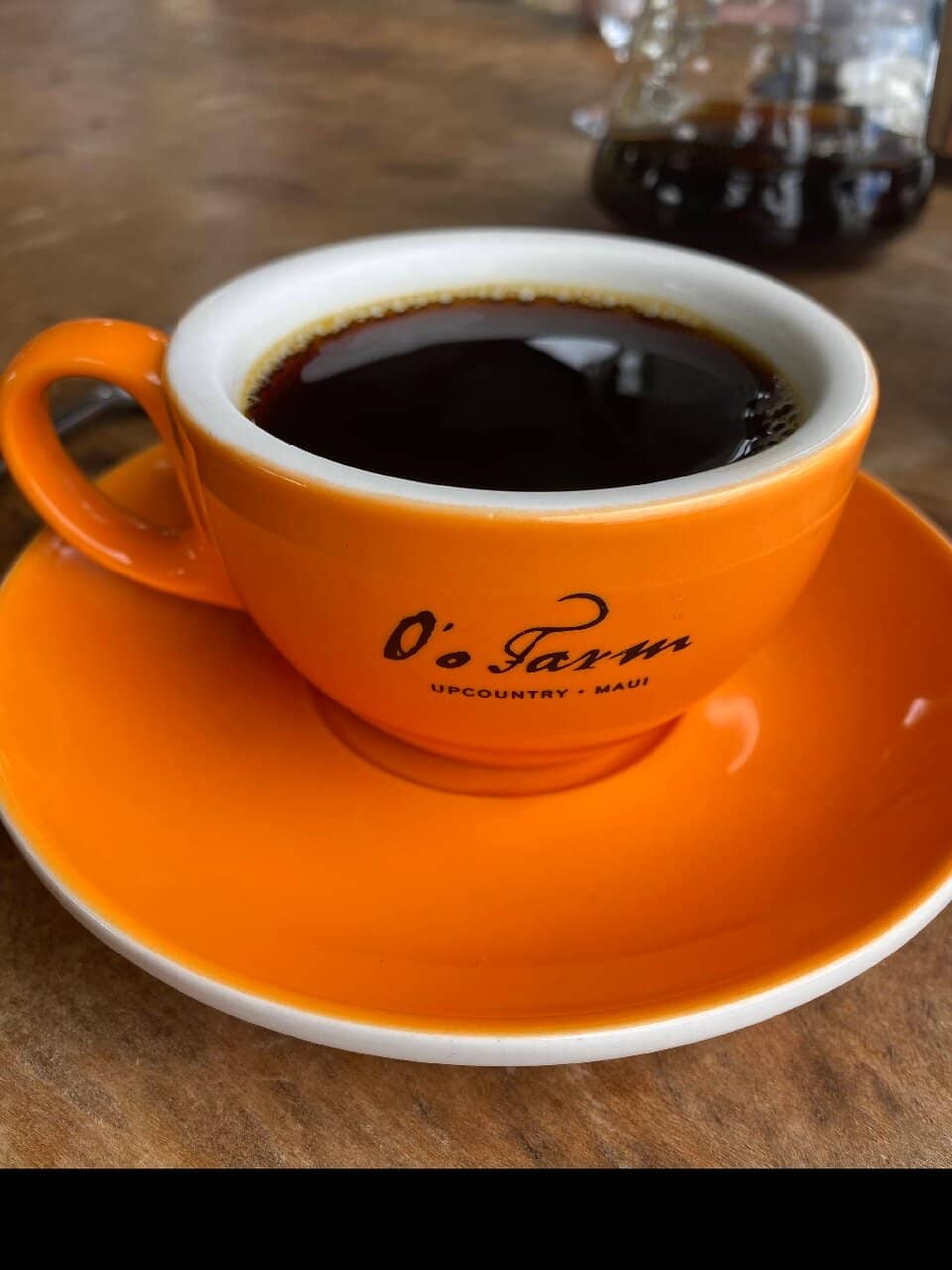 Garden & Greenhouse Exploration