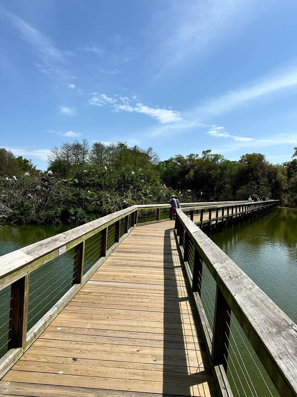 Boardwalk Trails
