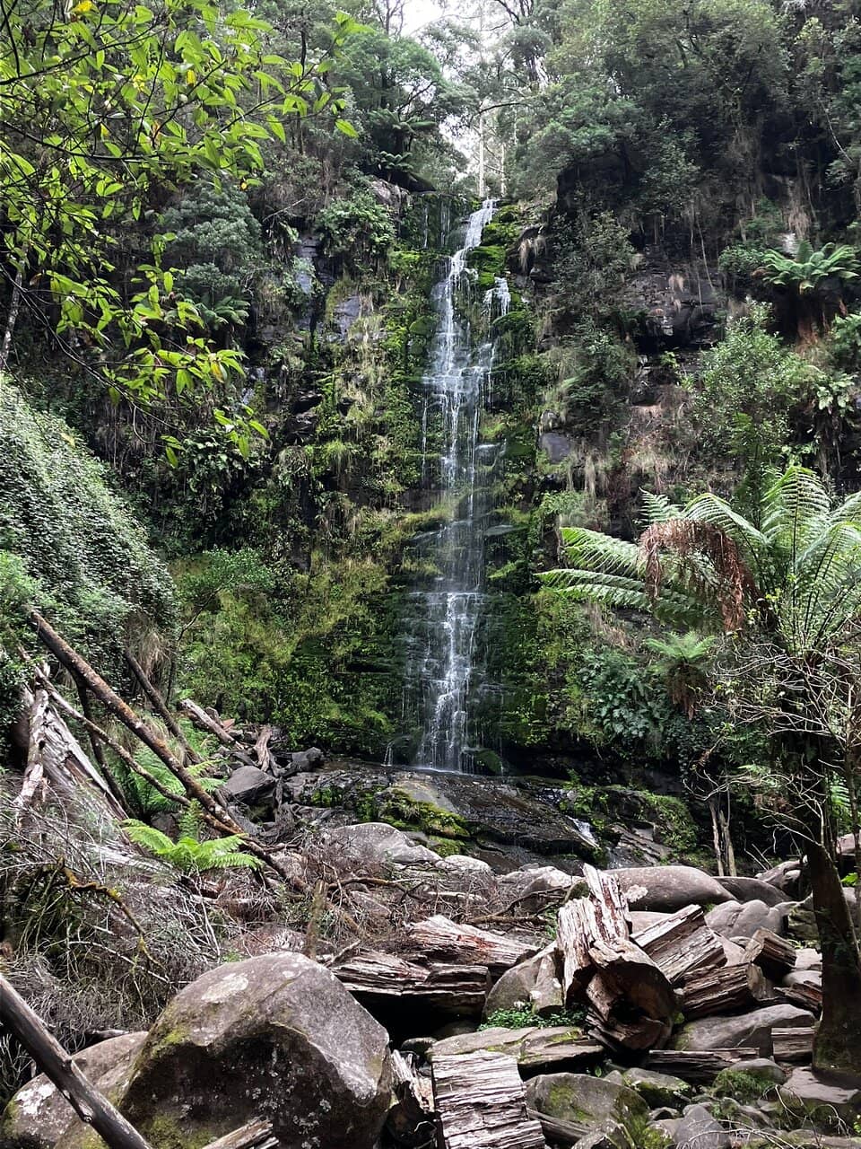 Lower Viewing Platform